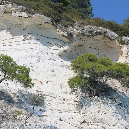 Vignanotica Mattinata