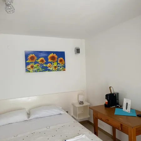 Vignanotica 3*