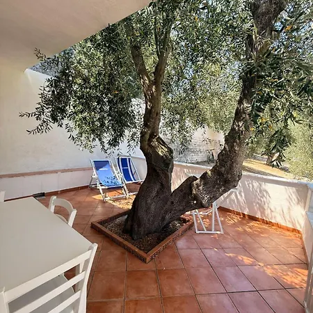 Vignanotica Hotel apartamentowy 3*